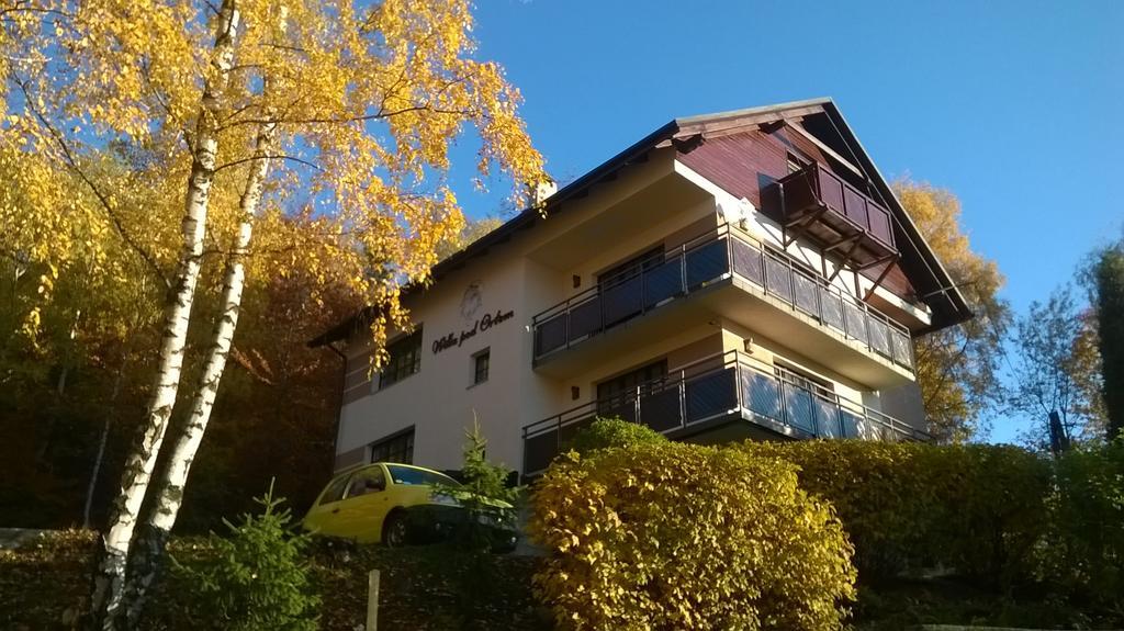 Willa Pod Orlem Szczyrk Exterior photo